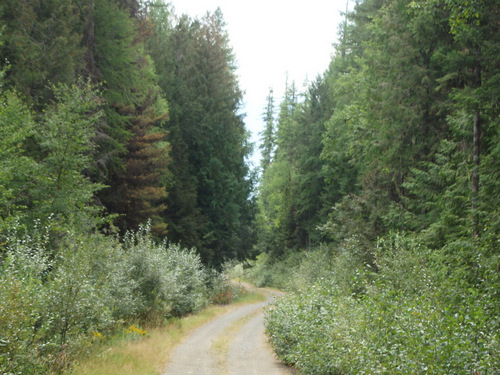 GDMBR, south of Fatty Creek, MT.